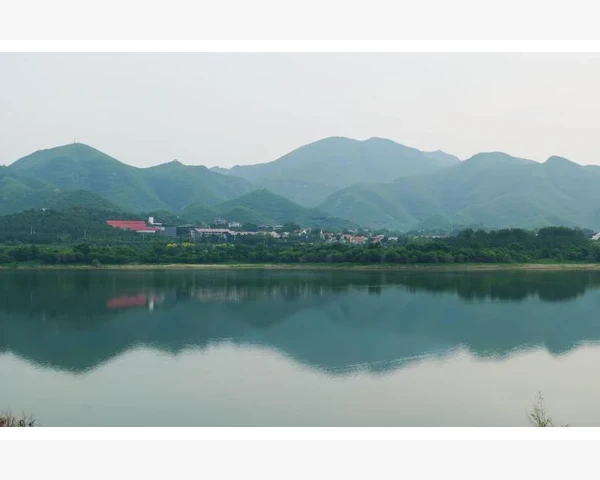 中医：脾胃湿热调理方案，告别消化不良